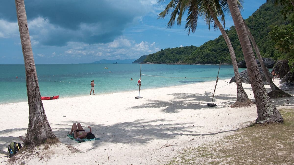 Palm-fringed beach on Ko Wua Talab